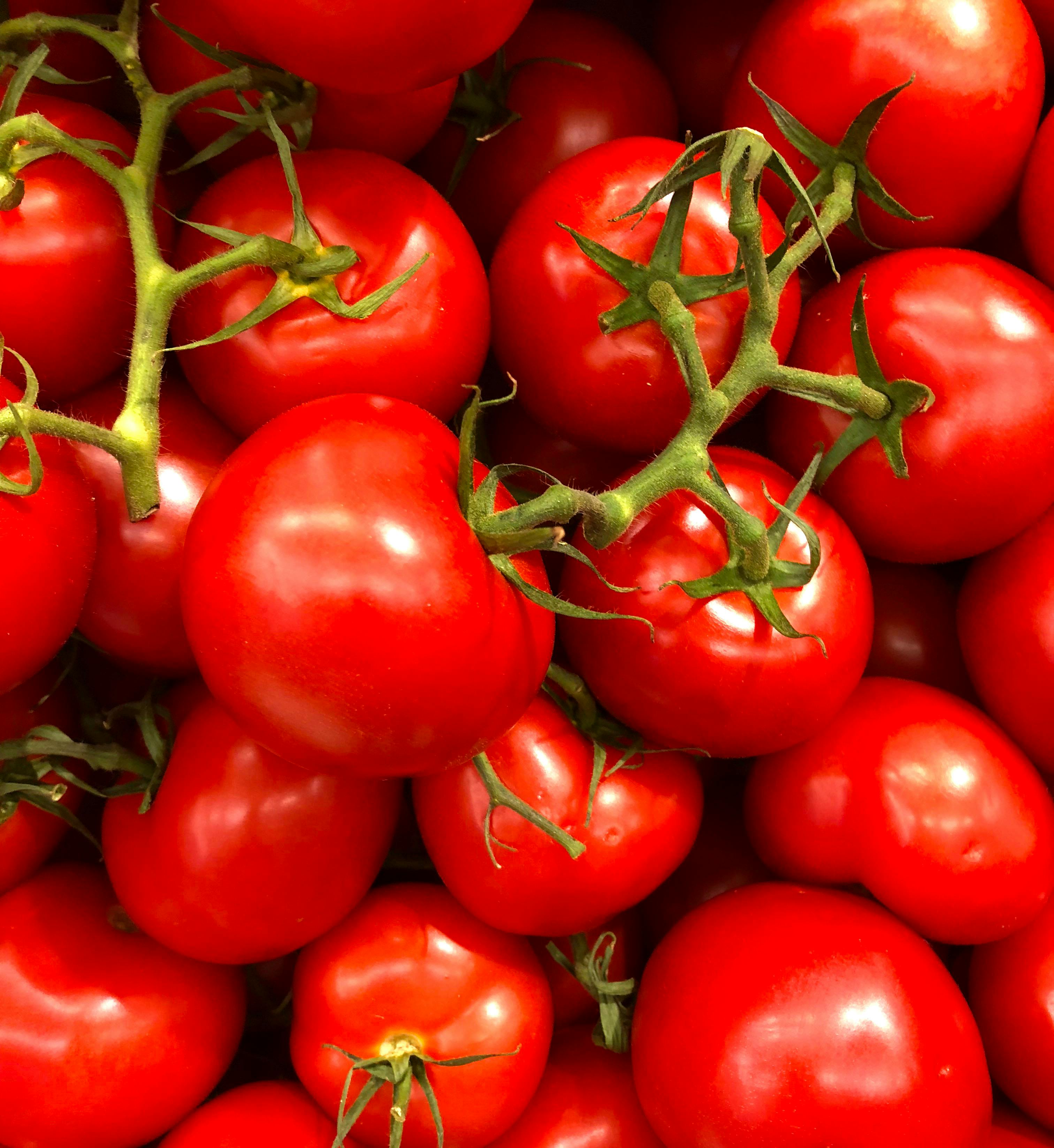 Tomato Image